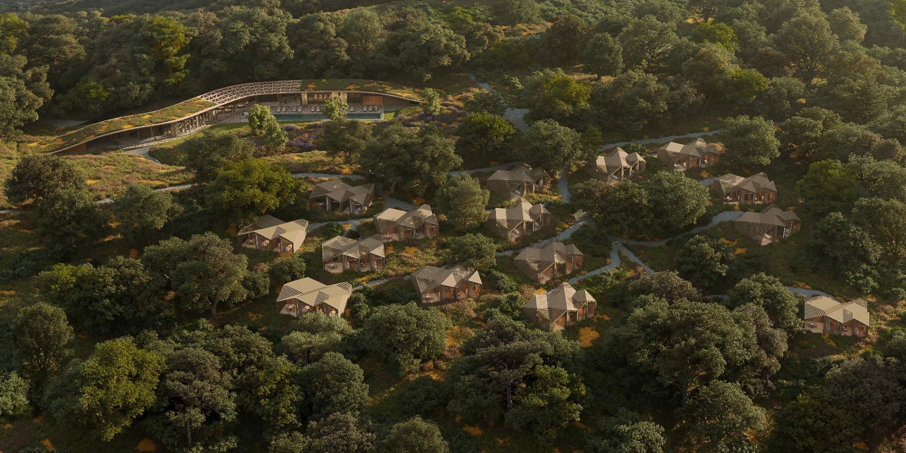 Aerial view of Cōrtia — villas in a cork oak forest at golden hour